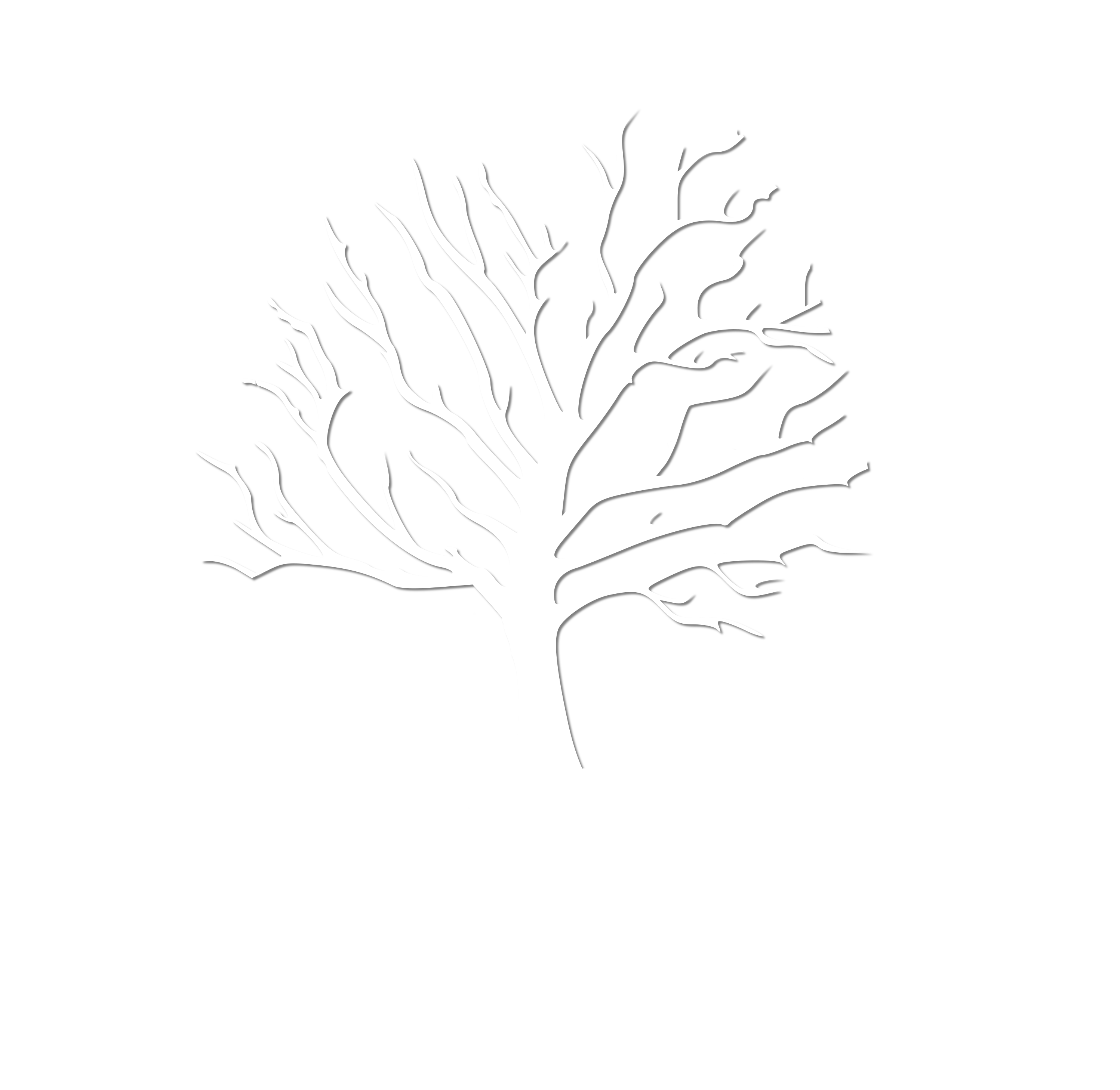 theironwoodproject